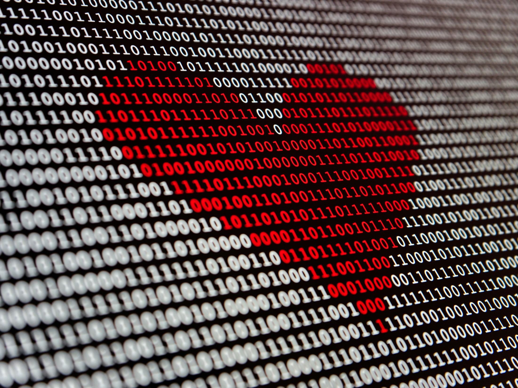 AI gydytojas išmoksta „pamatyti“ medicininius vaizdus
