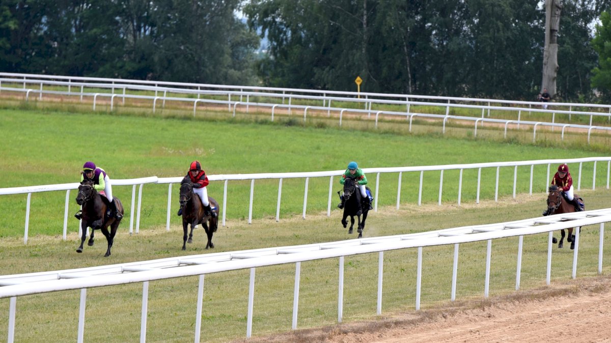 Parduodamas Raseinių hipodromas, skirtas prabangioms žirgų lenktynėms
